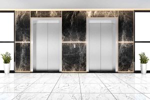 seagullelevator